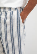 Alex Stripe Short | Alaska Blue